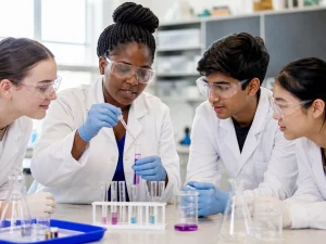 Explorer: Science, Discovery and Evidence in Action